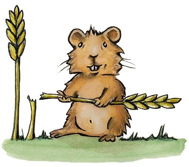 Bild eines Hamsters